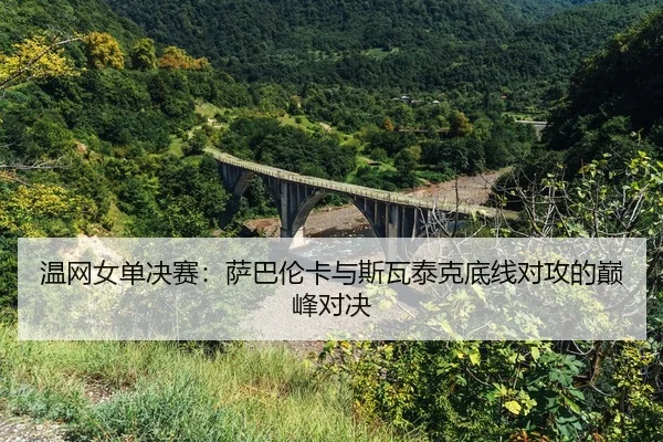 wen-wang-nv-dan-jue-sai-sa-ba-lun-ka-yu-si-wa-tai-ke-di-xian-dui-gong-de-dian-feng-dui-jue-2-235.jpg