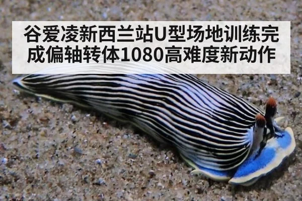 谷爱凌新西兰站U型场地训练完成偏轴转体1080高难度新动作