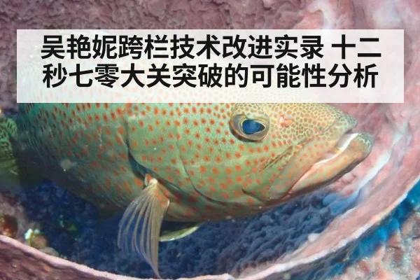 吴艳妮跨栏技术改进实录 十二秒七零大关突破的可能性分析